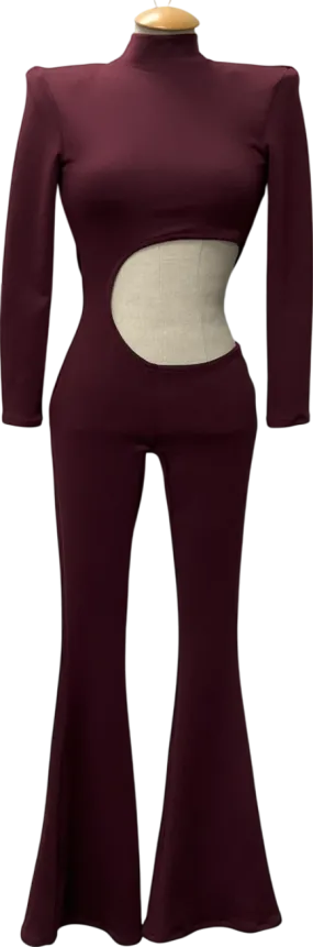 Aquannah Purple Darby Jumpsuit (dark Wine) UK S