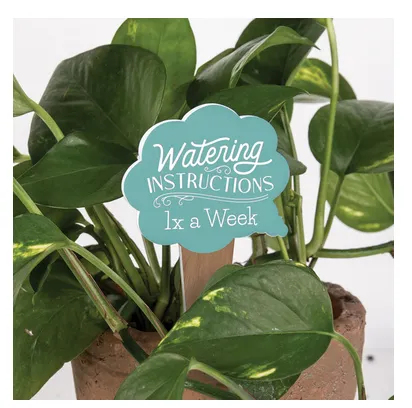 Engravable Plant Pals