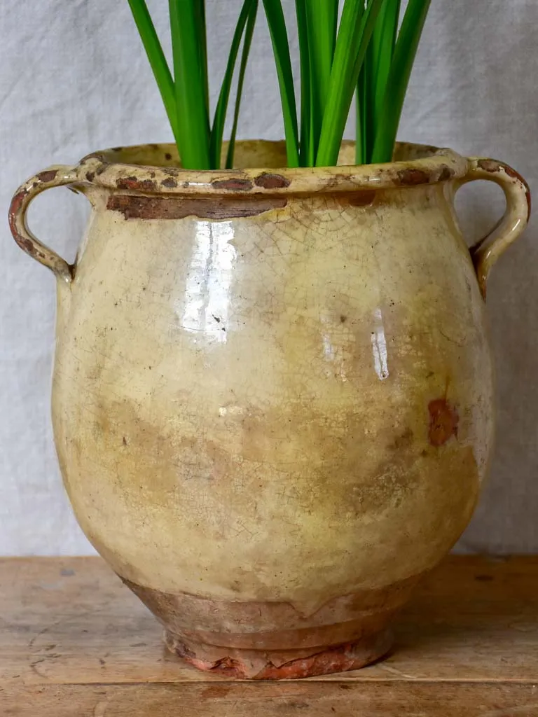 Large antique French confit pot with beige crackled glaze 9¾"