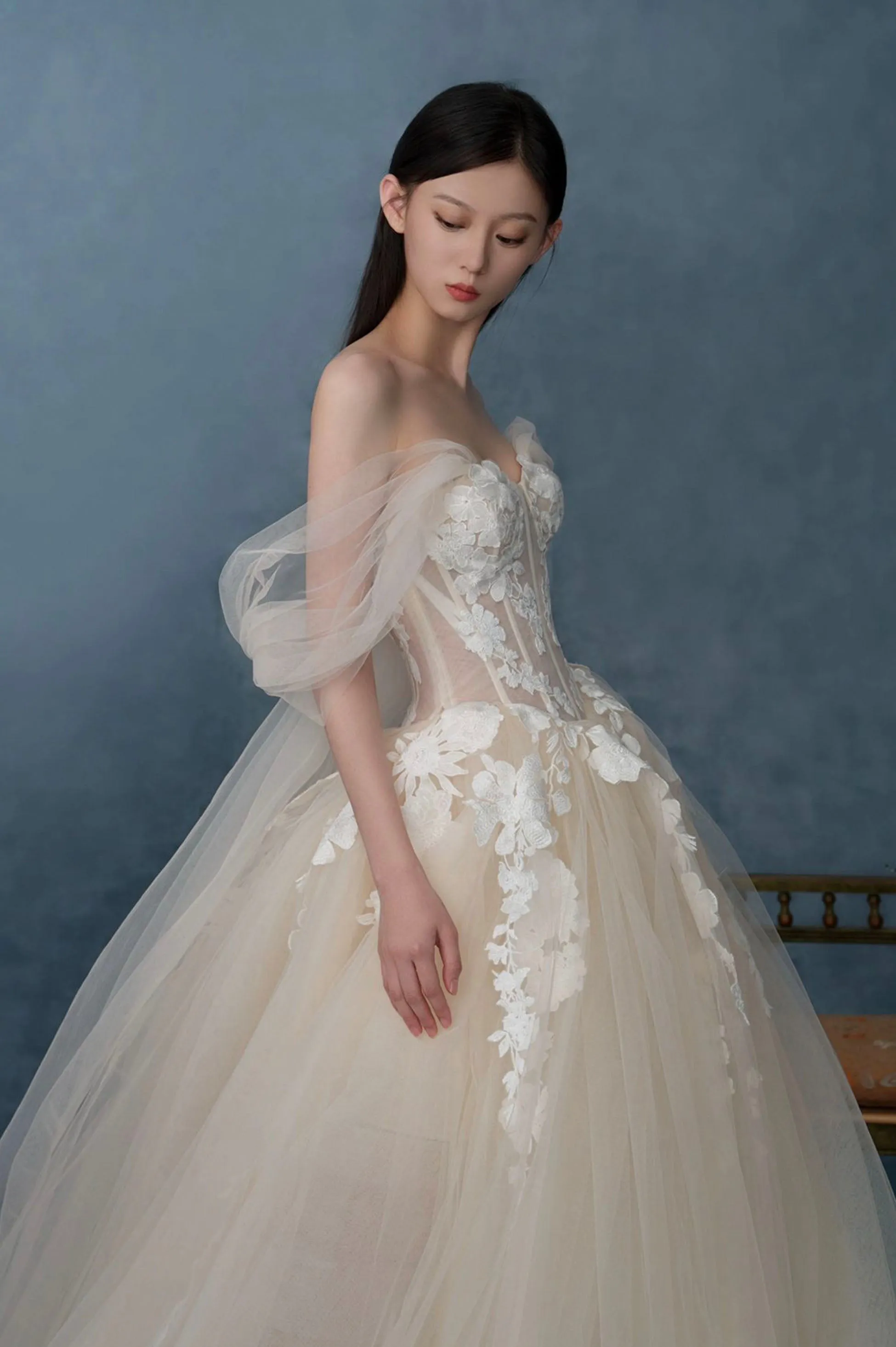 Off the Shoulder Lace Long Champagne Prom Dress, Lace Evening Formal Gown